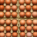 Eggs (1 Tray)