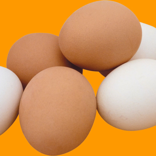 Eggs (1 Tray)